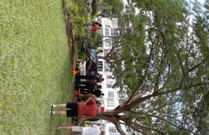 BREAKING-Driving While Old Senior Crashes Car Into Tree Behind Deerfield Beach Condo!