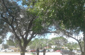 Breaking News-Motorcyclist Killed in Accident On Powerline Road Deerfield Beach
