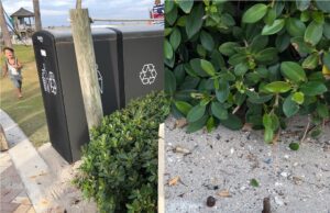 Concerned Citizen Sees Potentially Hazardous Bolt On Beach Walk By Pier-City Hall Responds Rapidly Says It Will Be Addressed