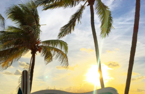 Deerfield Beach Has No Plan B Clock Is Ticking As We All Just Throw Out Recyclable Material Remember The Mayors Video Review of Burgess Hanson We Do Here It Is