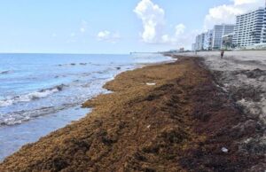 Beaches Looks Like This