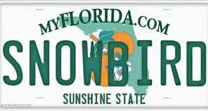 THEY ARE BACK-SNOWBIRDS RETURNING TO SOUTH FLORIDA
