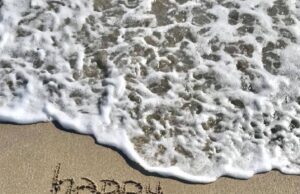 DEERFIELD BEACH HAPPY THANKSGIVING