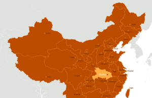 First Wuhan Virus Case Found In US