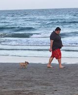 DOGS ON THE BEACH-MAYBE DEERFIELD BEACH CAN LEARN FROM JERSEY