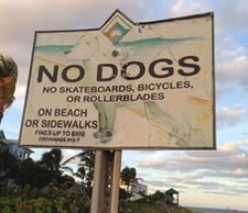 DOES DEERFIELD BEACH STILL HAVE A DOG AND DOG POOP PROBLEM ON THE BEACH?
