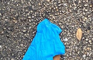 MESSAGE FROM MAYOR GANZ-DO NOT LITTER DEERFIELD BEACH WITH DIRTY GLOVES AND MASKS