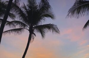Today’s Moment Of Zen Live From Deerfield Beach