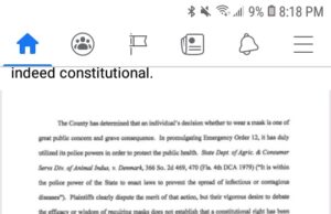 Palm Beach County Circuit Court Rules Masks Are Constitutional
